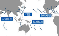 태풍은 북태평양 서부에서만 발생한다? 재미있는 태풍 상식