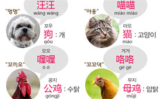 중국어로 동물소리 표현하기