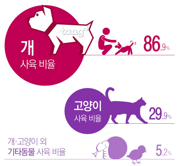 국민 10명 중 2명은 '동물 키운다', 가장 선호하는 반려동물은?