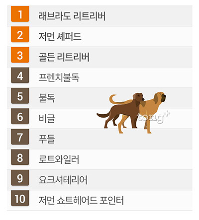 미국인이 선호하는 반려견 1위는 '래브라도 리트리버', 한국인은?