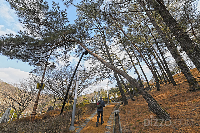 뿌리공원_성씨조형물이 있는 숲길 산책로(사진제공=한국관광공사)