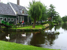 [사진이 있는 에세이] 네덜란드 풍차마을에 있는 '백조의 호수'