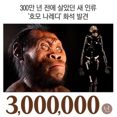 300만 년 전에 살았던 새 인류 '호모 나레디' 화석 발견