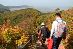 가을산행, 바다와 단풍 동시에 즐기는 섬 '장봉도'