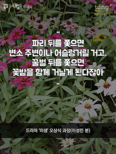 "꿀벌 뒤를 쫓으면 꽃밭을 함께 거닐게 된다잖아"