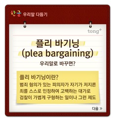 '플리 바기닝'은 '자백감형제'