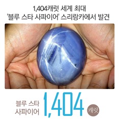 1,404캐럿 세계 최대 '블루 스타 사파이어' 스리랑카에서 발견