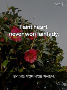 [영어 명언] 용기 있는 자만이 미인을 차지한다