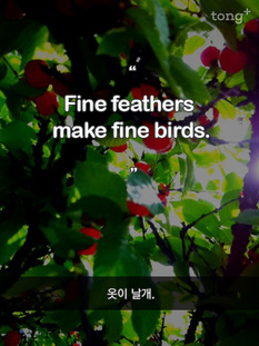 [영어 명언] 옷이 날개