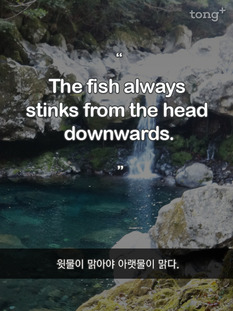 [영어 명언] 윗물이 맑아야 아랫물이 맑다