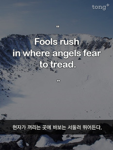 [영어 명언] 현자가 꺼리는 곳에 바보는 서둘러 뛰어든다