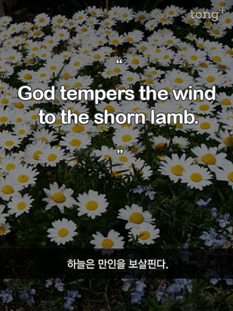 [영어 명언] 하늘은 만인을 보살핀다