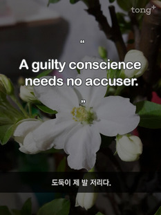 [영어 명언] 도둑이 제 발 저리다