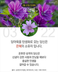 3월 22일 탄생화 '당아욱'