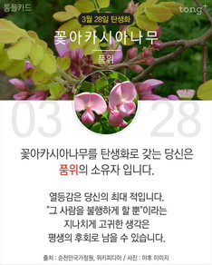 3월 28일 탄생화 '꽃아카시아나무'