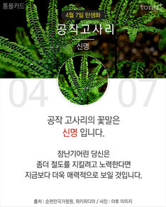 4월 7일 탄생화 '공작고사리'