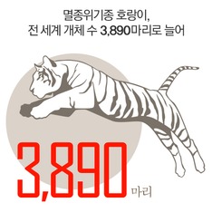 멸종위기종 호랑이, 전 세계 개체 수 '3,890마리'로 늘어