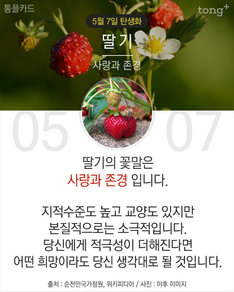 5월 7일 탄생화 '딸기'