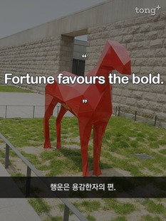 행운은 용감한자의 편