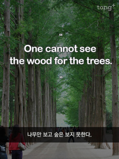 나무만 보고 숲은 보지 못한다