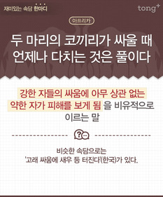 [재미있는 속담 한마디] "두 마리의 코끼리가 싸울 때 언제나 다치는 것은 풀이다"