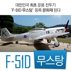 대한민국 최초 운용 전투기 'F-51D 무스탕' 등록 문화재 된다