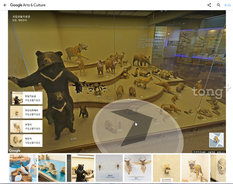 구글, 온라인으로 전 세계 자연사 박물관 콘텐츠 VR 전시