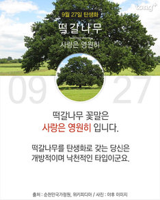 9월 27일 탄생화 '떡갈나무'