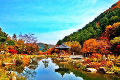 꽃과 단풍, 억새 등 가을 정취 느끼기 좋은 '경기북부 수목원 5곳'