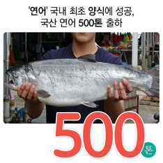 '연어' 국내 최초 양식에 성공, 국산 연어 500톤 출하