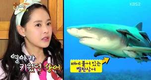 [연예인 반려동물③] 상어, 도마뱀 등 이색 반려동물을 키우는 스타들
