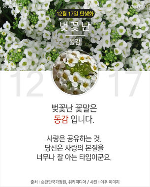 12월 17일 탄생화 '벚꽃난'