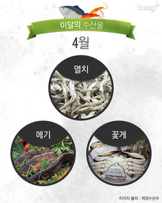 4월 제철 수산물 '멸치&middot;메기&middot;꽃게', 맛 좋고 영양도 풍부해