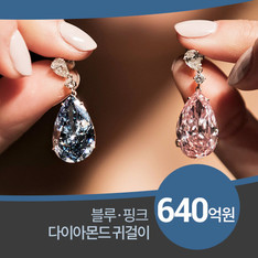 다이아몬드 귀걸이 경매 최고가, 블루&middot;핑크 한 쌍 640억원
