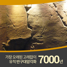 7000여년 전 바위그림 '반구대 암각화', 가장 선명하게 보이는 시간은?