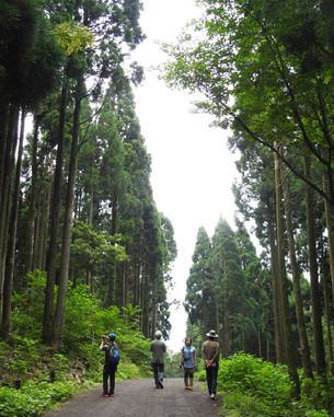 한국에서 가장 아름다운 숲&hellip;'제주 서귀포시 치유의 숲'