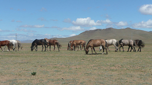겨울 제대로 즐길 수 있는 '러시아&middot;몽골 여행지'