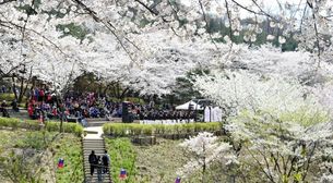 도시의 소음에서 벗어나 걸어볼까? '2018 서울명산 트레킹'