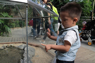영유아, 장애인, 고령자도 편하게 즐길 수 있어&hellip;'서울대공원 전동카트 투어'