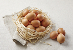 천연식품 중 최고인 '달걀', 신선도 높은 달걀 고르는 방법