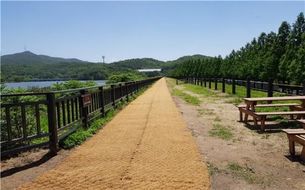 34년 만에 개방된 서울대공원 '청계저수지 둑방길' 걸어볼까?