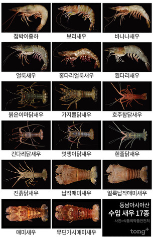 비슷해 보여도 달라요! 동남아시아산 수입 해양 갑각류 35종