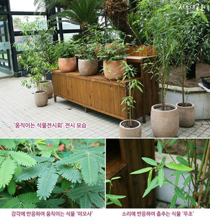 [주말 나들이] 식물이 움진인다고? 이색 식물보러 '서울대공원' 가볼까