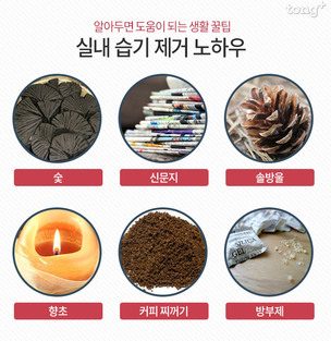 쾌적한 실내 공기 만들기 위한 '장마철 습기 제거' 방법