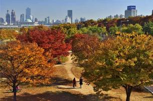 서울의 가을 단풍길 가장 잘 담은 사진 26점