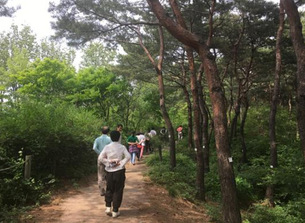 남산 소나무 힐링숲, 남산 둘레길 황톳길 등 봄에 가기 좋은 서울 공원 명소 5곳