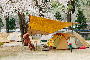 라인프렌즈X스노우피크, 봄맞이 소장 욕구 자극하는 캠핑 용품 선보여