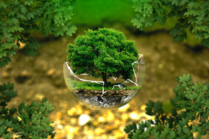 4월 22일 '지구의 날' 기념, 일상 속에서 친환경 라이프 지키는 법