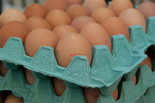 25일부터 가정용 달걀 '선별포장' 제도 의무화 시행