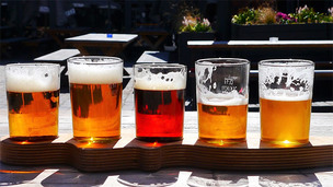 발암물질 논란 '수입 맥주'&hellip;식약처, 검사 결과 '글리포세이트' 미검출